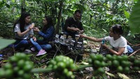 Barista meracik kopi untuk wisatawan di kebun kopi kaki Gunung Merbabu, Banyuanyar, Ampel, Boyolali, Jawa Tengah.