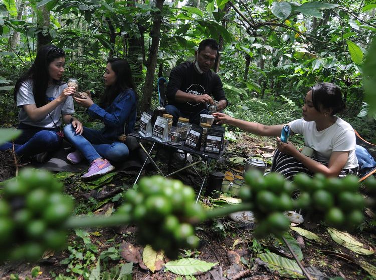 Wisata Kopi di Kaki Gunung Merbabu