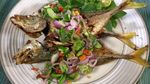 10 Resep Ikan Goreng Berbumbu Sedap, Cabe Ijo hingga Sambal Kencur