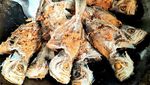 10 Resep Ikan Goreng Berbumbu Sedap, Cabe Ijo hingga Sambal Kencur