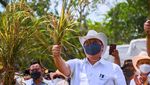 Airlangga Hadiri Panen Padi Gogo di Tanah Kering Lampung