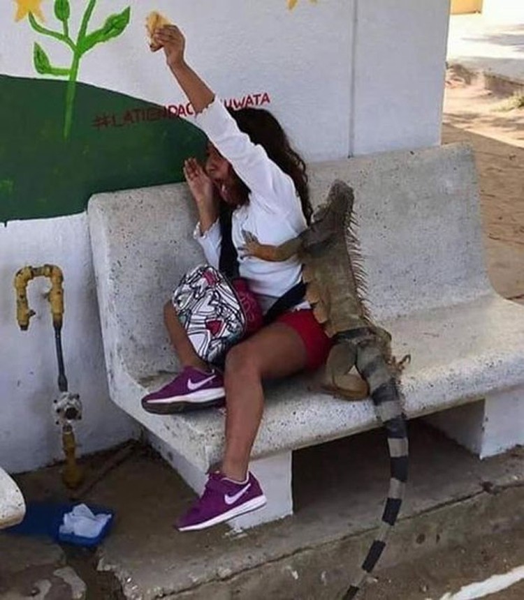 Aksi kocak bocah