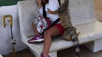 Duh kasian ketakutan... Foto: Kids in Predicaments