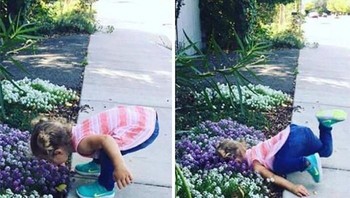 Duh nyungsep. Foto: Kids in Predicaments