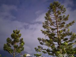 Blind Test Kamera Huawei P50 Pro vs iPhone 13 Pro, Bagus Mana?