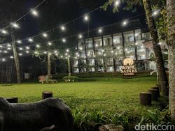 Blind Test Kamera Huawei P50 Pro vs iPhone 13 Pro, Bagus Mana?