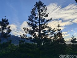 Blind Test Kamera Huawei P50 Pro vs iPhone 13 Pro, Bagus Mana?