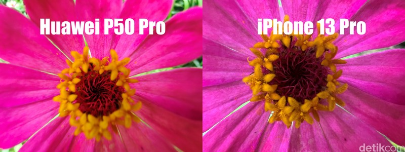 Blind test Huawei P50 Pro vs iPhone 13 Pro