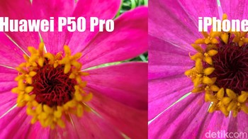 Jadi bagus mana? Foto: Anggoro Suryo Jati/detikINET