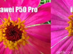 Blind Test Kamera Huawei P50 Pro vs iPhone 13 Pro, Bagus Mana?