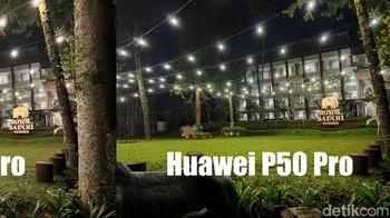 Oke foto yang mana? Foto: Anggoro Suryo Jati/detikINET