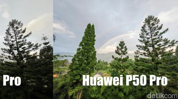 Jadi ultra-wide yang oke yang mana? Foto: Anggoro Suryo Jati/detikINET