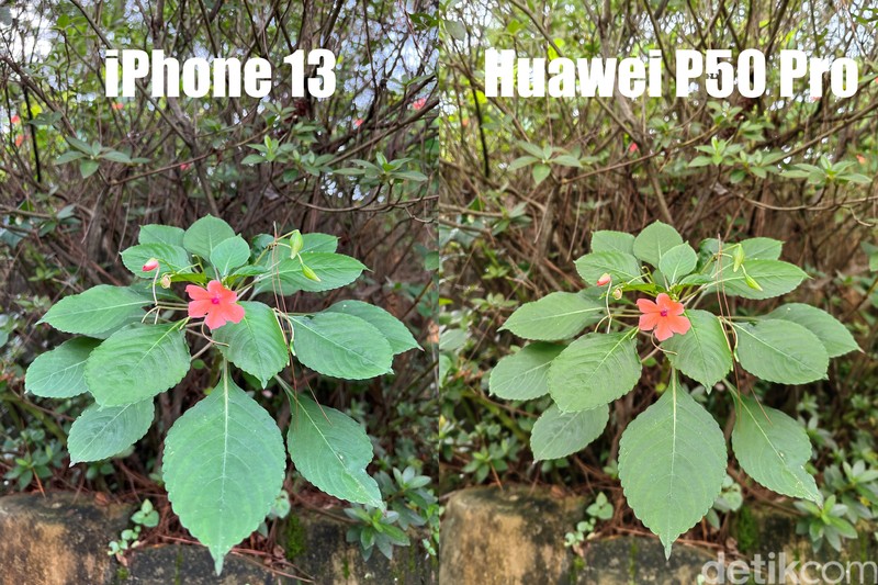 Blind test Huawei P50 Pro vs iPhone 13 Pro