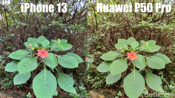 Ini dia... Foto: Anggoro Suryo Jati/detikINET