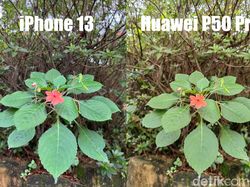 Blind Test Kamera Huawei P50 Pro vs iPhone 13 Pro, Bagus Mana?