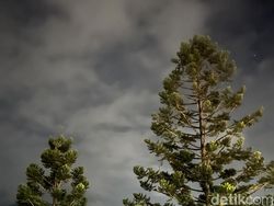 Blind Test Kamera Huawei P50 Pro vs iPhone 13 Pro, Bagus Mana?