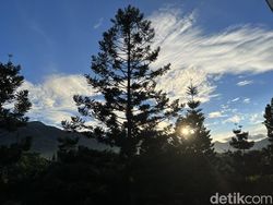 Blind Test Kamera Huawei P50 Pro vs iPhone 13 Pro, Bagus Mana?