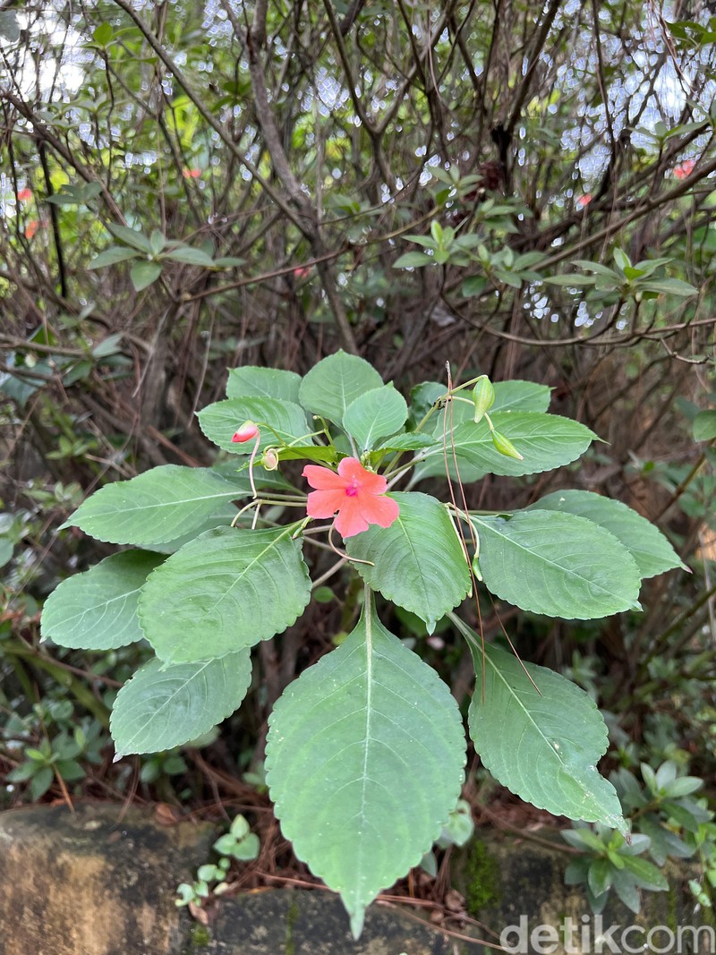 Blind test iPhone 13 Pro