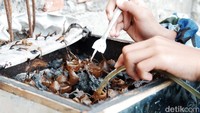 Di usianya yang menginjak remaja, Nevan lebih memilih asyik dengan budidaya lebah ketimbang bermain gadget seperti yang dilakukan teman sebayanya. Menurutnya, lebah itu adalah tanggung jawab yang ia terima dari kedua orang tuanya. 