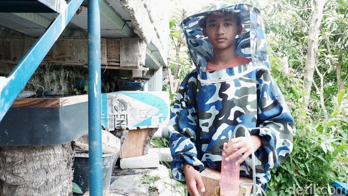 Bocah Sukabumi Ini Sukses Budidaya Lebah Itama Nevan Daniel (13) asal Sukabumi ini lebih memilih budidaya lebah ketimbang bermain gadget seperti teman sebayanya. Saat ini dia sudah membudidayakan kurang lebih 30 koloni lebah itama.