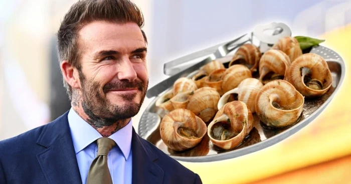 David Beckham Mengaku Pernah Kalap Makan 32 Bekicot Sekaligus