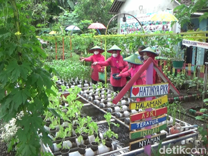 Desa di Lumajang Ini Sediakan Sayur Gratis Bagi Warga Saat Pandemi