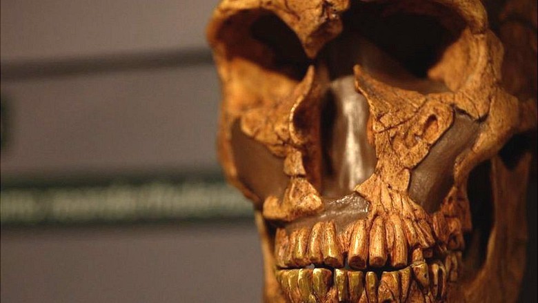 Manusia purba Neanderthal tidak punah karena manusia modern, menurut bukti terbaru Manusia purba Neanderthal tidak punah karena manusia modern, menurut bukti terbaru