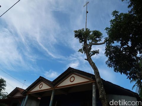 Pedukuhan (Dusun) di Kalurahan Jepitu, Kapanewon Girisubo, Kabupaten Gunungkidul ini bernama Janganmati.