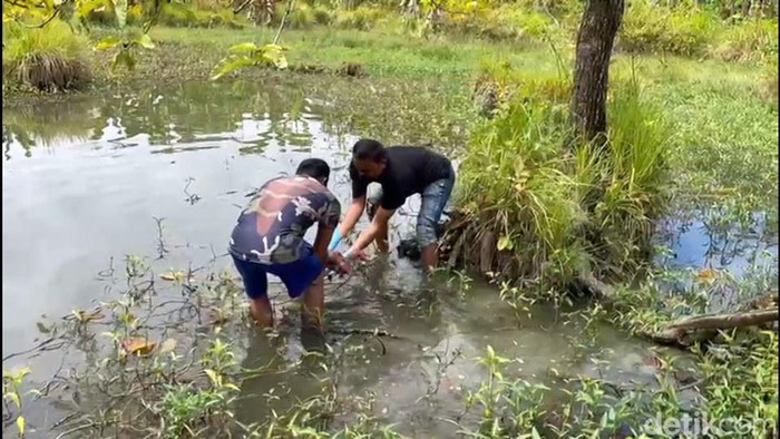 Penemuan jasad bayi malang yang dibuang ibunya di Mamuju, Sulbar. (Abdy/detikcom)