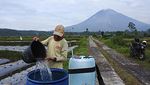 Petani Semeru Kembali Garap Lahan