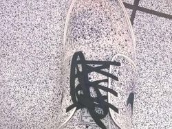 Seperti Editan, Orang-Orang Ini Bak Bunglon Berkamuflase dengan Sekitar