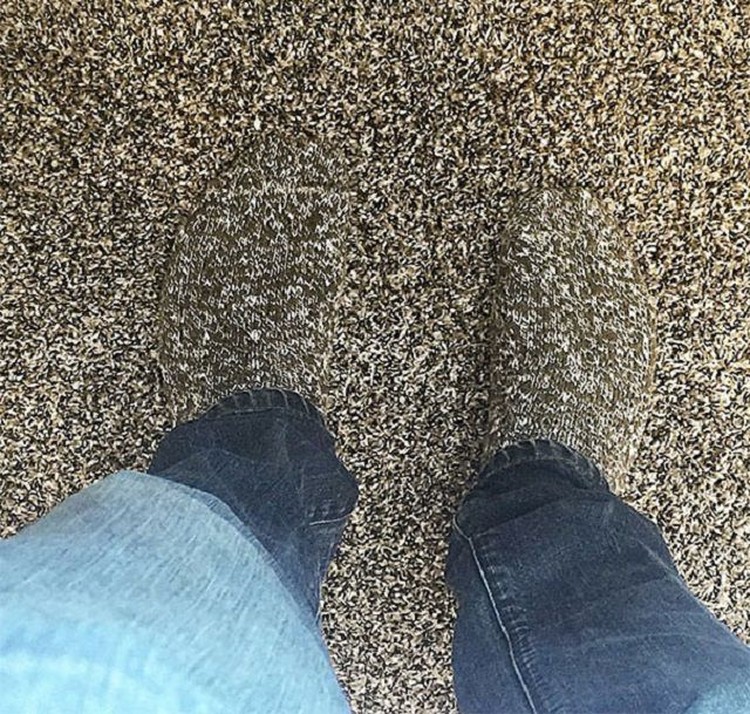 Seperti Editan, Orang-Orang Ini Tanpa Sengaja Menyatu dengan Lingkungan