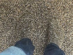 Seperti Editan, Orang-Orang Ini Bak Bunglon Berkamuflase dengan Sekitar