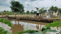 Pihaknya mengaku semakin ramai orang yang menanyakan setelah dirinya mengunggah ikan mas tersebut di grup Facebook Obrolan Urang Garut (Obuga Ka 2) dan grup umum. Ia menambahkan, hingga saat ini banyak orang yang menanyakan keberadaan ikan tersebut melalui pesan pribadi ke dirinya.