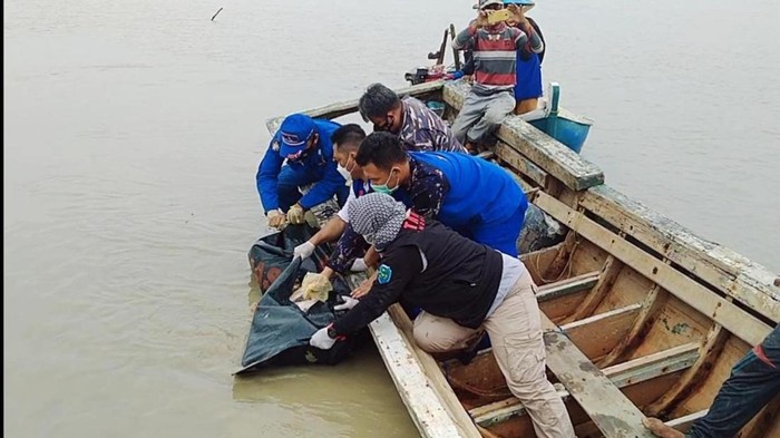Petugas melakukan evakuasi jasad ABK yang tenggelam.