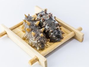 Semua Makanan dari Laut Halal, Termasuk Teripang
