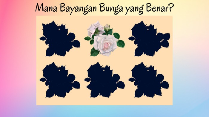 Harus mode serius dan fokus baru bisa ketebak mana bayangan bunga yang tepat.