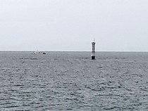 Ambalat, Laut Sulawesi, dan Perjalanan Nama pada Peta dan Kedaulatan