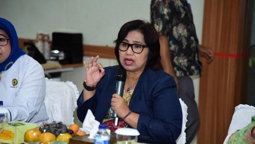 Anggota DPR Irma Suryani Chaniago.