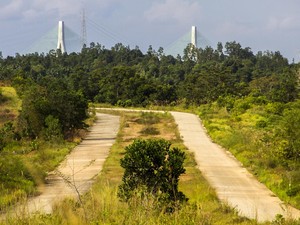 Gubernur Se-Indonesia Diundang ke IKN, 5 Gubernur Ikut Kemah Bareng Jokowi