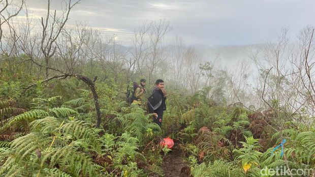 Kawasan puncak Gunung Bulubaria di Gowa, Sulsel. (Isman/detikcom)