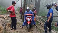 Longsor Di 5 Titik, Jalur Trenggalek-Ponorogo Terputus