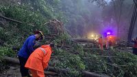 Longsor Tutup Total Jalur Utama Trenggalek-Ponorogo, Akses Lalin Macet ...