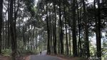 Ngopi di Pabangbon Bogor: Ngopinya Biasa, ke Sininya yang Luar Biasa