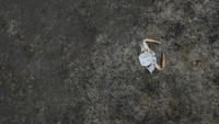 Brasil telah mendesak warganya untuk membatasi penggunaan air dalam upaya untuk mengatasi kekeringan. 