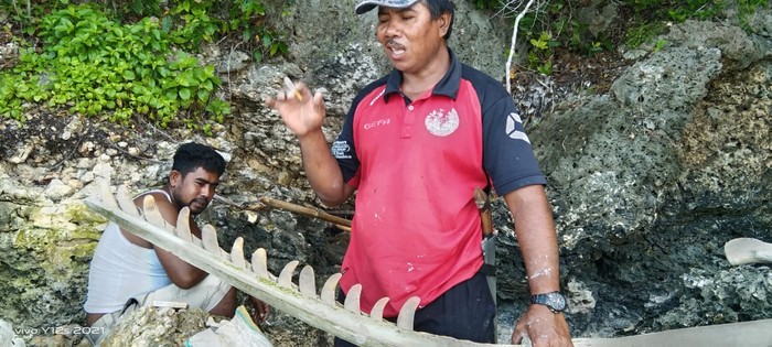 Tulang ikan raksasa di Selayar Sulsel. (dok. Istimewa)