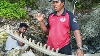 Camat Pasilambena Selayar Patta Bau mengatakan, tulang-tulang ikan raksasa itu ditemukan warga bernama Hasan. (dok. Istimewa)