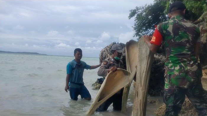 Tulang ikan raksasa di Selayar Sulsel. (dok. Istimewa)