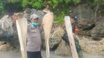 Potret Tulang Ikan Raksasa di Selayar Sulsel Giginya Sebesar Orang Dewasa