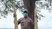 Tulang ikan itu ditemukan tepatnya di bibir pantai Pulau Kalaotoa, Dusun Kawau, Desa Garaupa, Kecamatan Pasilambena, Selayar pada Minggu (6/2) lalu. (dok. Istimewa)